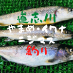 【奇跡！】道志川でヤマメ・イワナ・ニジマス釣り【釣果報告】