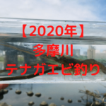 【2020年】多摩川テナガエビ釣り