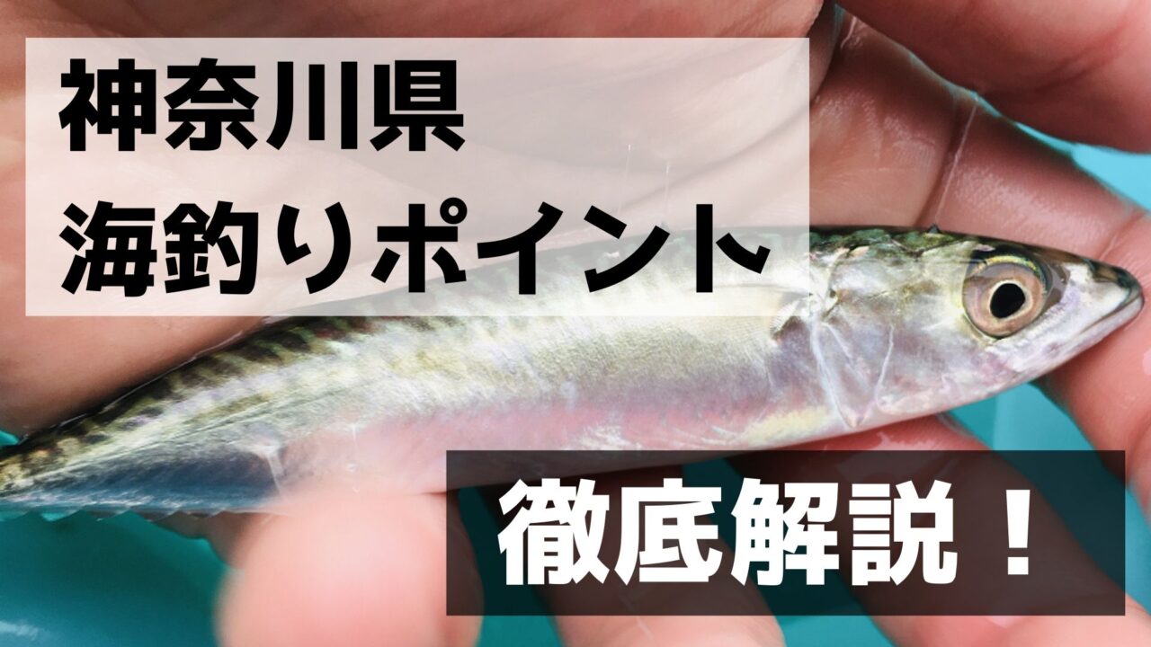 神奈川県　釣りポイント