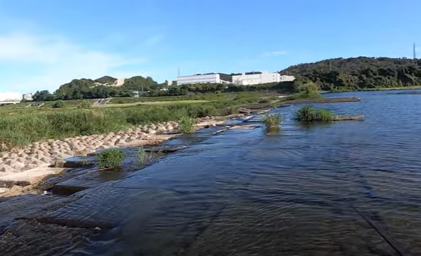 近所の川の釣り場