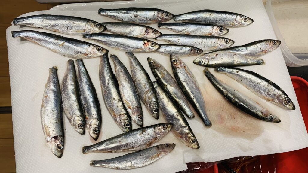 業務用スーパーのバルト海イワシ