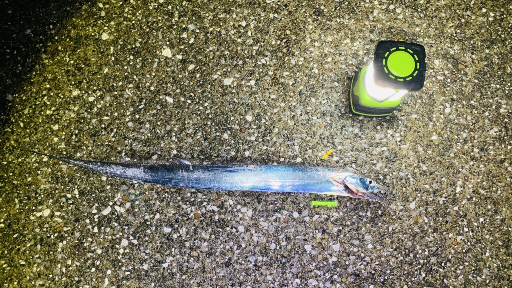 横須賀　うみかぜ公園　タチウオ釣り